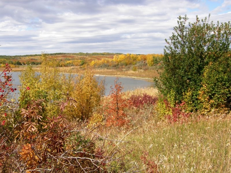 Redberry Lake Regional Park - Image: Kathy Rosenkranz