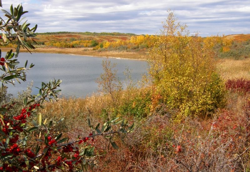 Redberry Lake Regional Park - Image: Kathy Rosenkranz