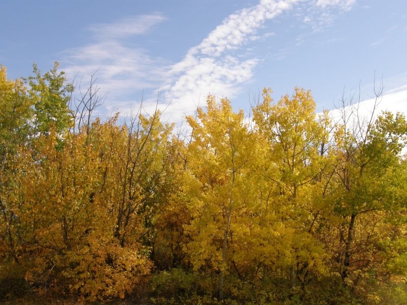 Redberry Lake Regional Park - Image: Kathy Rosenkranz