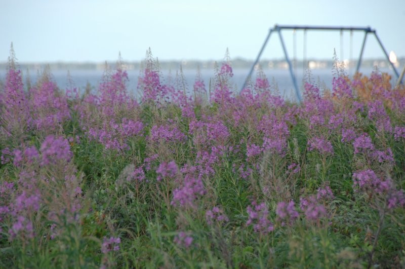 Battlefords Provincial Park Trails