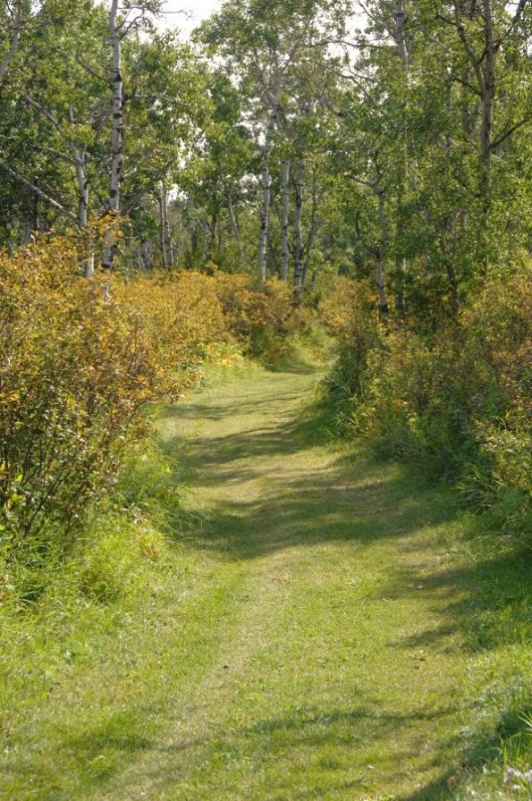 Battlefords Provincial Park Trails