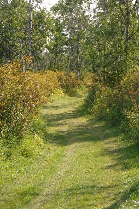 Battlefords Trails