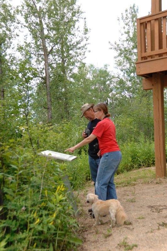 Greenwater Lake Provincial Park Trails