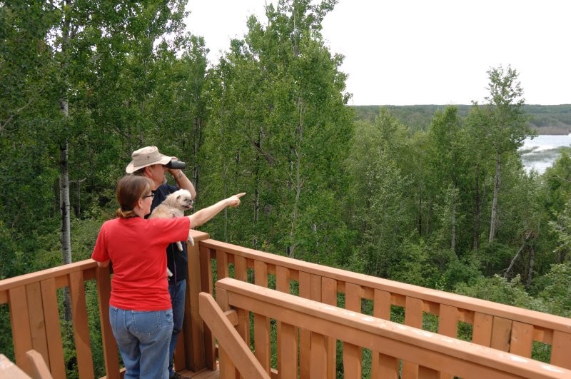 Greenwater Lake Provincial Park Trails
