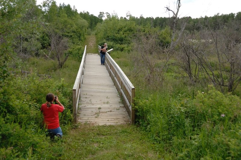 Greenwater Lake Provincial Park Trails