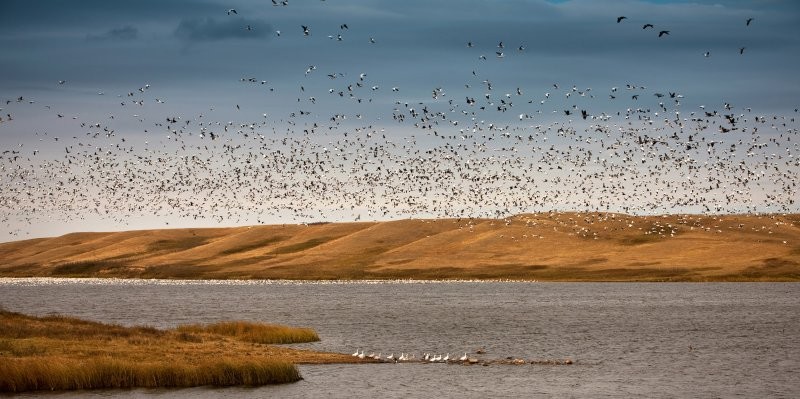 Blackstrap Provincial Park Trails