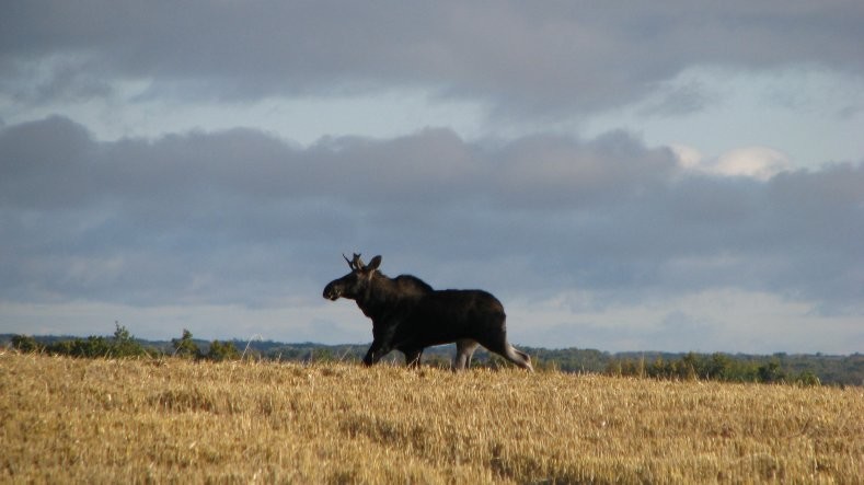 Redberry Lake Biosphere Reserve