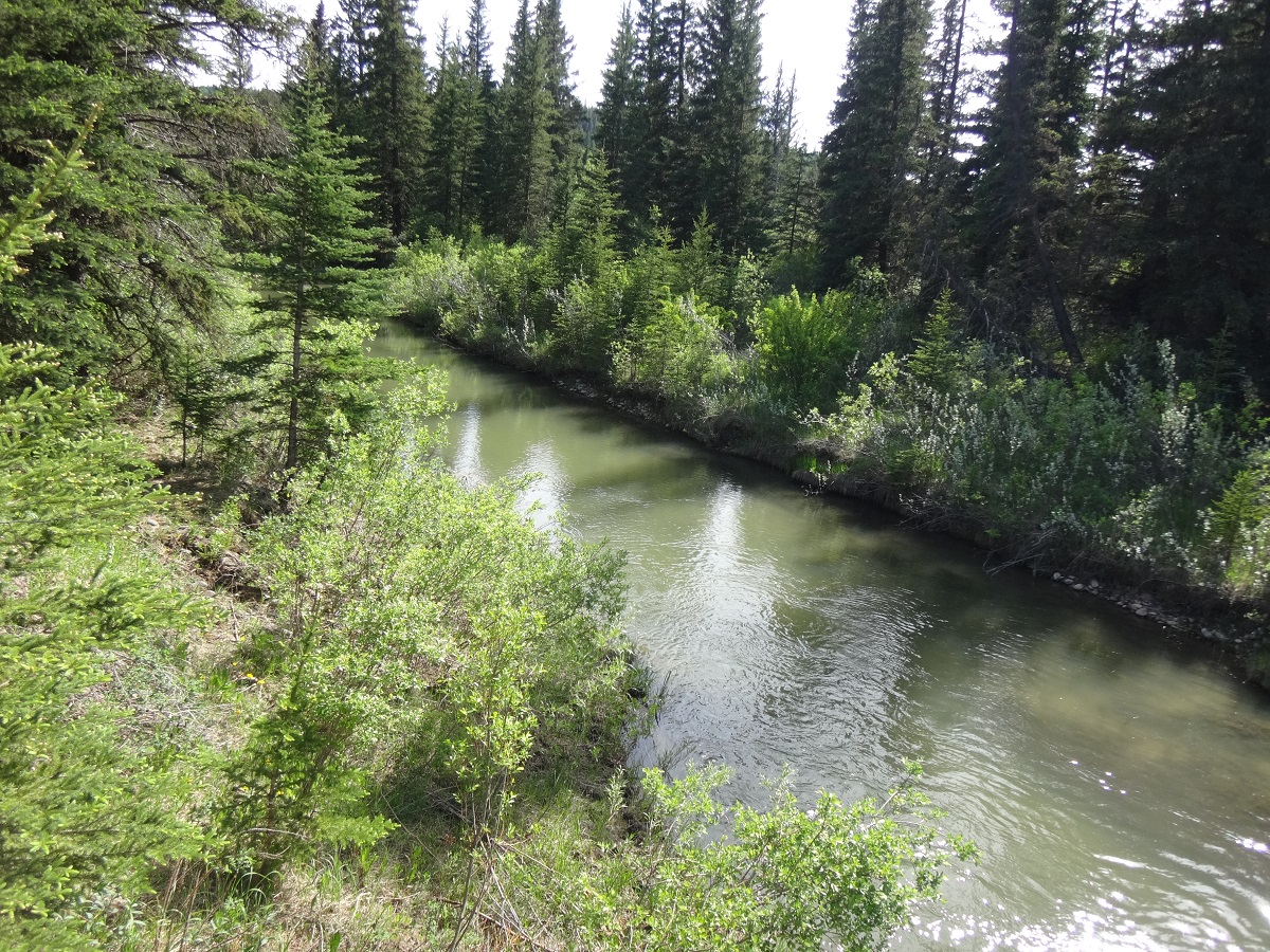 Ranger Creek Campground - West Block Wilderness Area - Cypress Hills Interprovincial Park