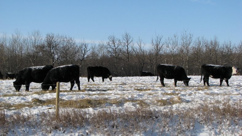 Redberry Lake Biosphere Reserve