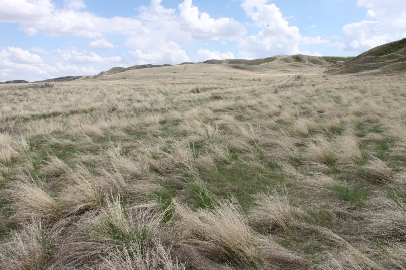 Saskatchewan Landing Provincial Park Trails