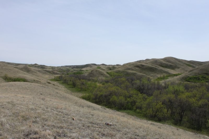 Saskatchewan Landing Provincial Park Trails