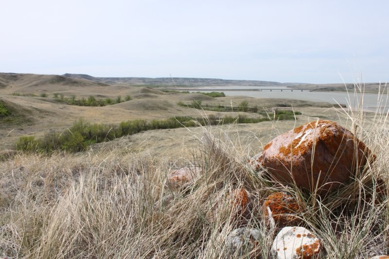 Saskatchewan Landing Provincial Park Trails
