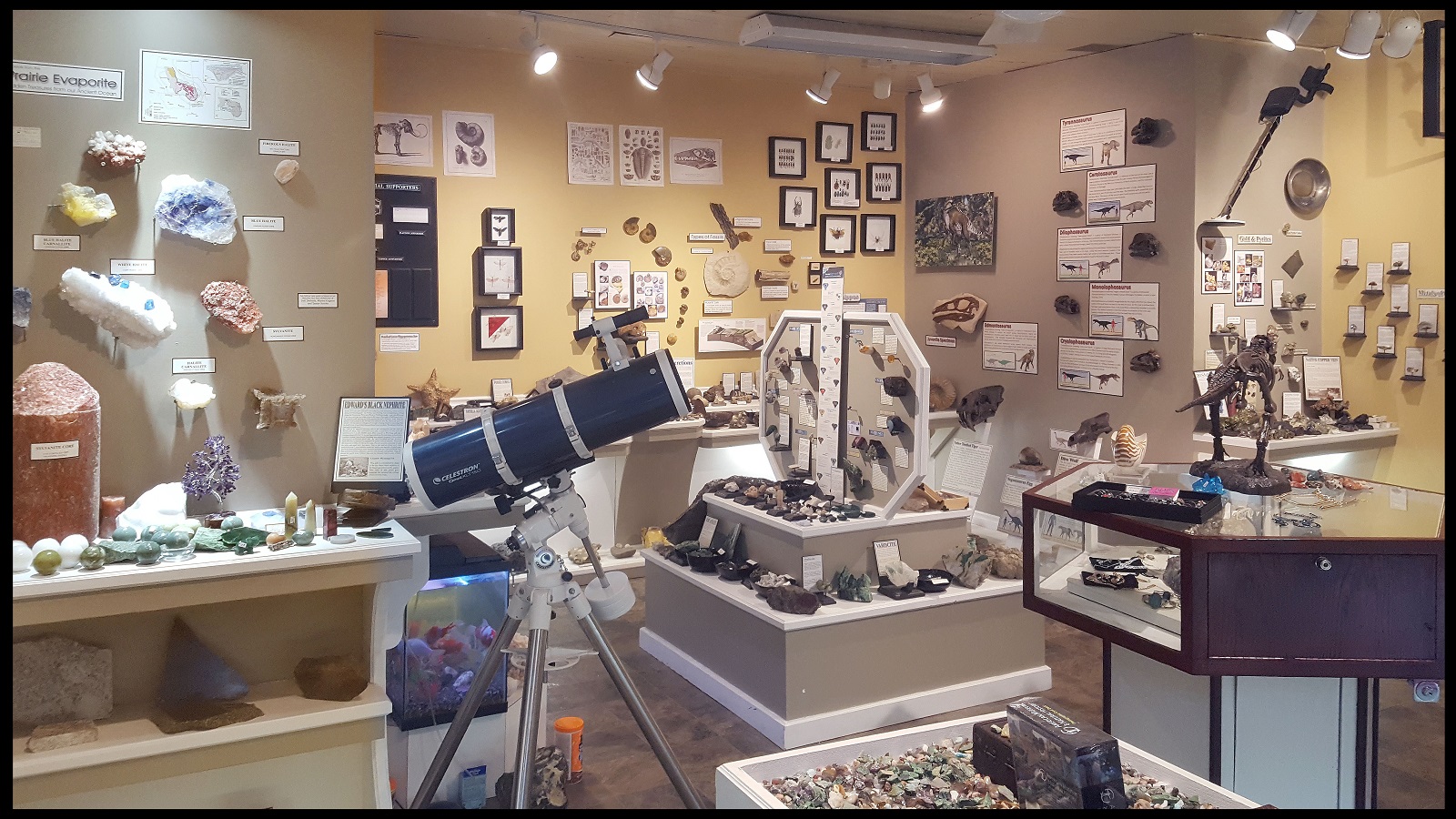 Sesula Mineral and Gem Museum and Rock Shop