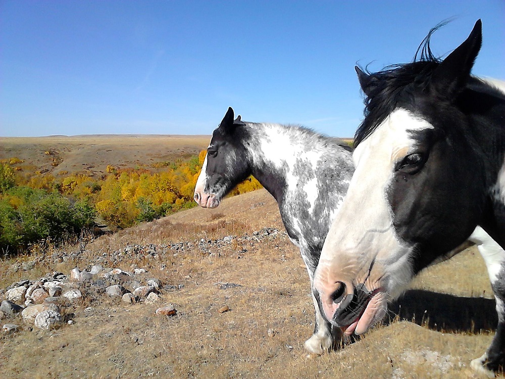 Spring Valley Guest Ranch