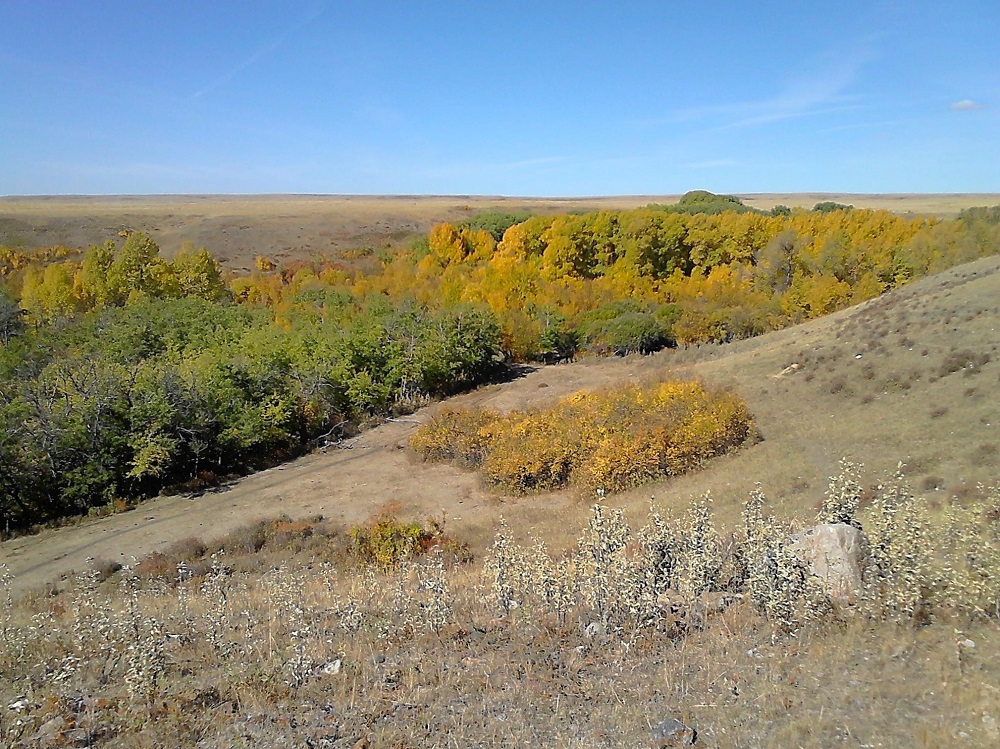 Spring Valley Guest Ranch