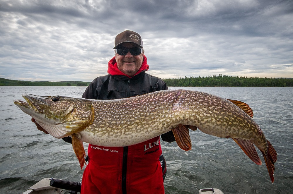 Tazin Lake Lodge - 42 in. Northern pike