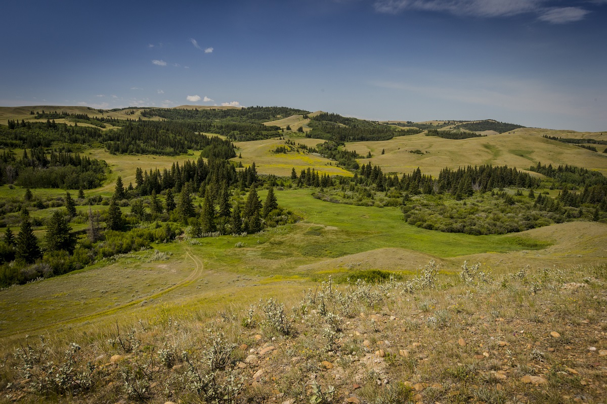 Fort Walsh National Historic Site - Trading Post Tours