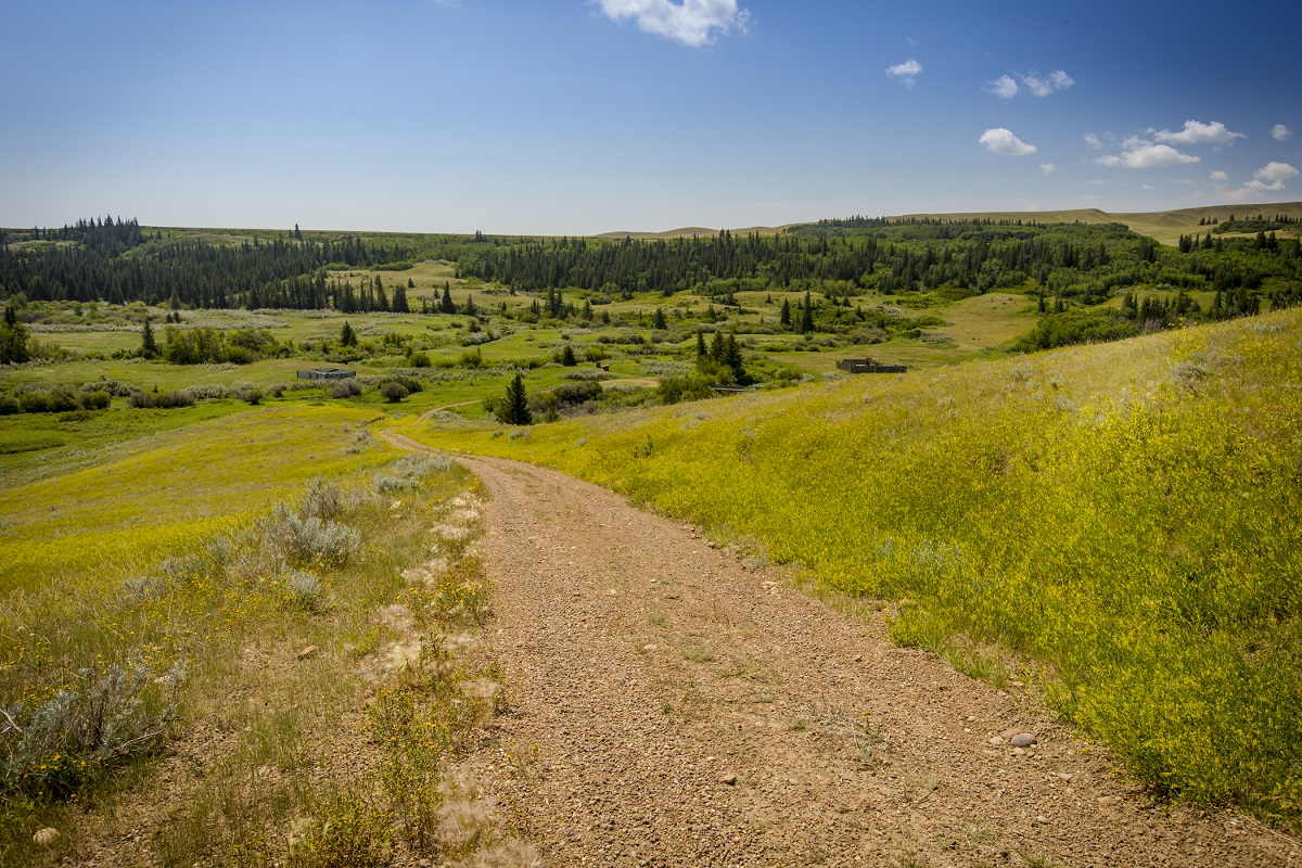 Fort Walsh National Historic Site - Trading Post Tours