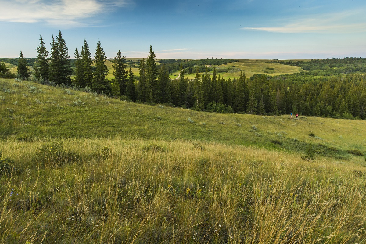 Fort Walsh National Historic Site - Trading Post Tours
