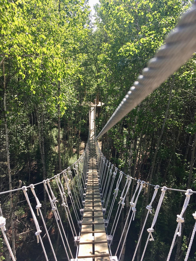 Treeosix Adventure Parks - Elk Ridge Resort