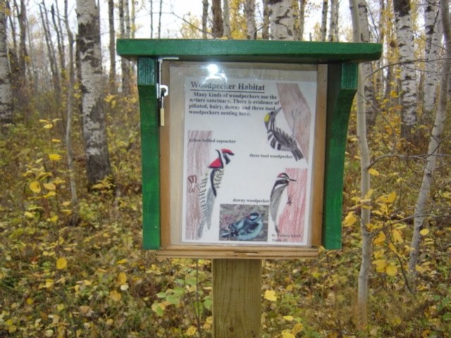 Turtle Lake Nature Sanctuary