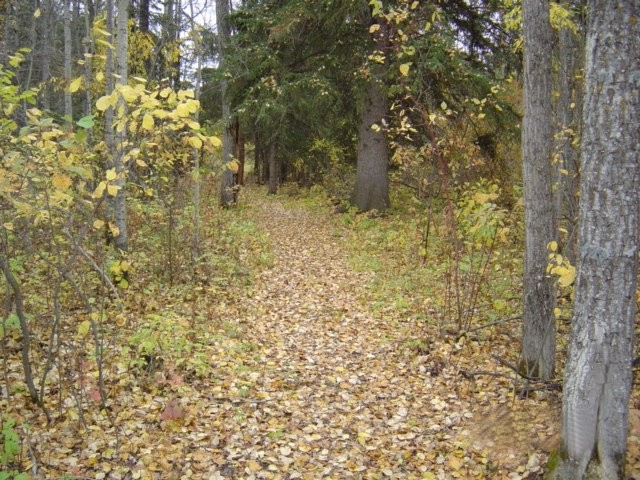 Turtle Lake Nature Sanctuary