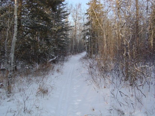 Turtle Lake Nature Sanctuary