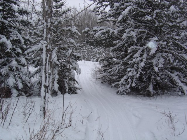 Turtle Lake Nature Sanctuary