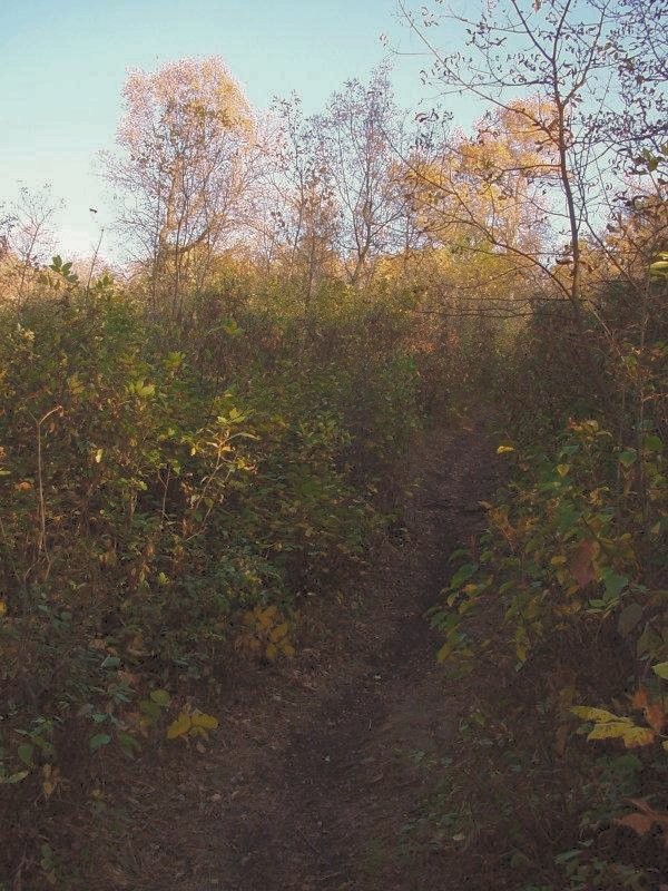 Regina - Wascana Valley Trails