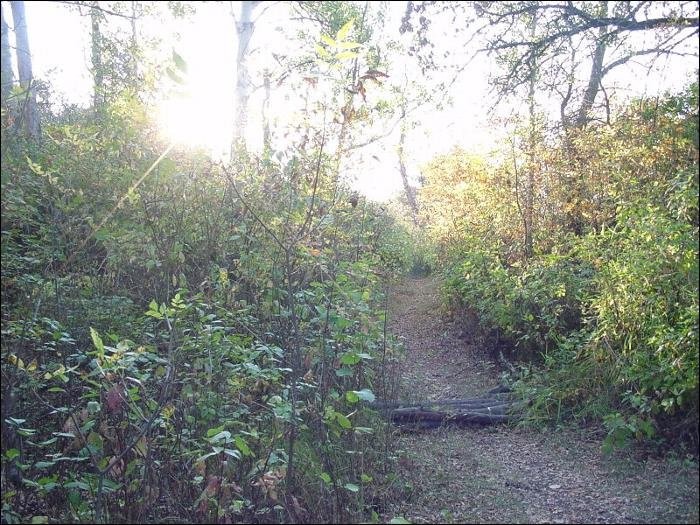 Regina - Wascana Valley Trails