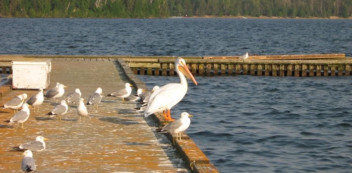 Waskesiu Marina Adventure Centre