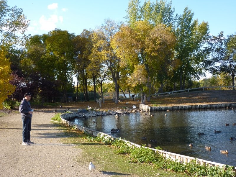 Waterfowl Display Ponds - Image: Kathy Rosenkranz