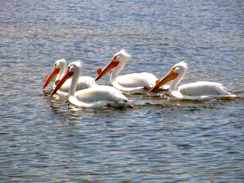 Turtle Lake Nature Sanctuary