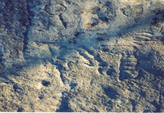 There are Carvings of animal tracks, human faces, human foot prints, human hands.