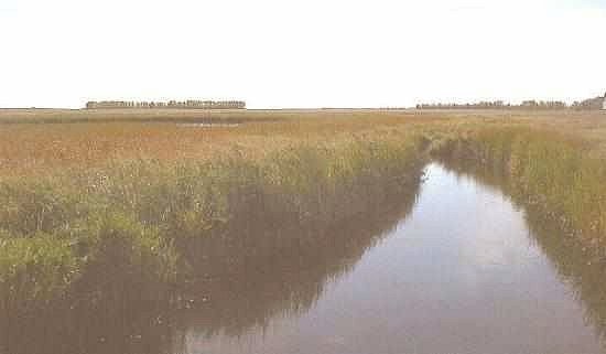 Regina - McKell Wascana Conservation Park