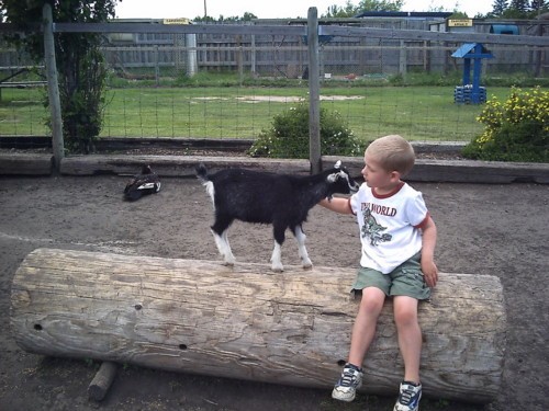 Border City Petting Zoo