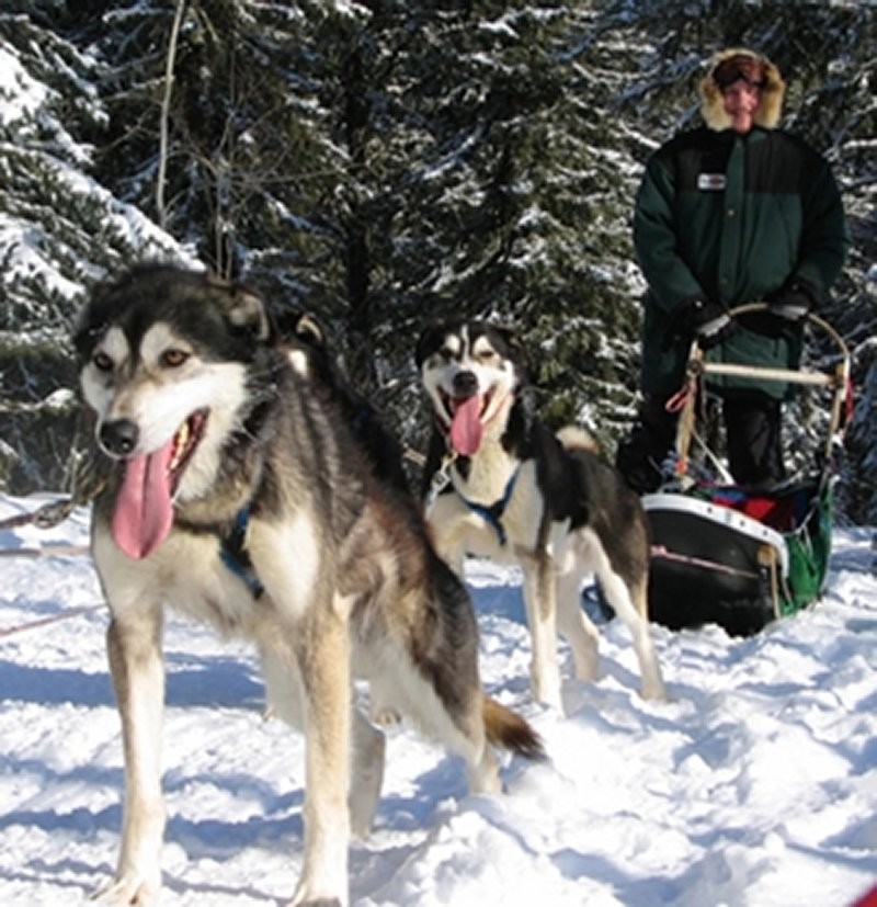Guest on Sled