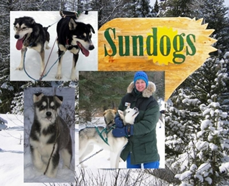 Sundogs Montage