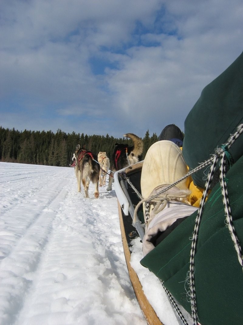 sundogs sled excursions